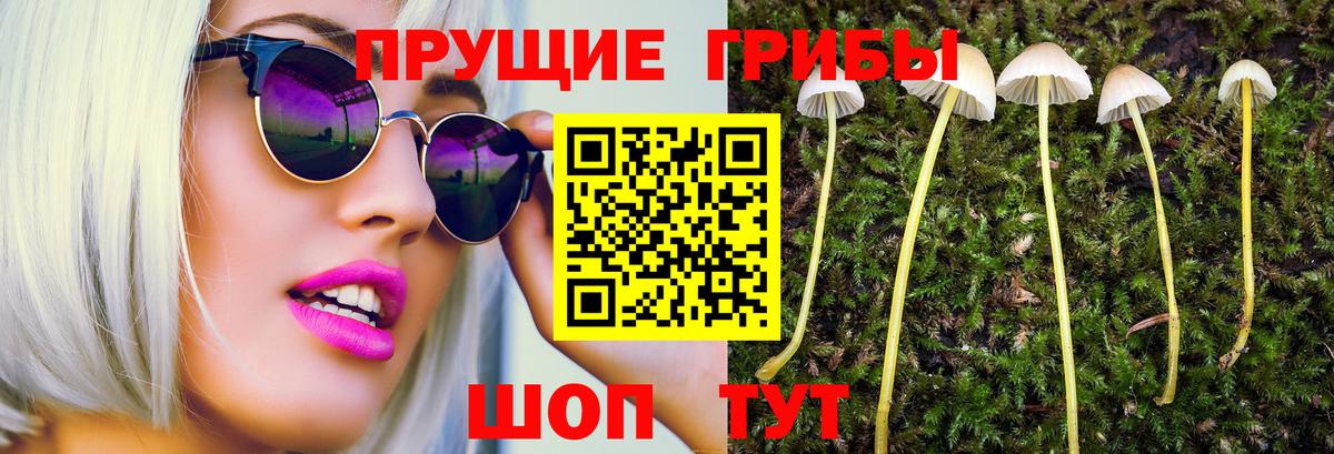 Ликино-Дулёво  Псилоцибиновые грибы Psilocybe  Вход с VPN 